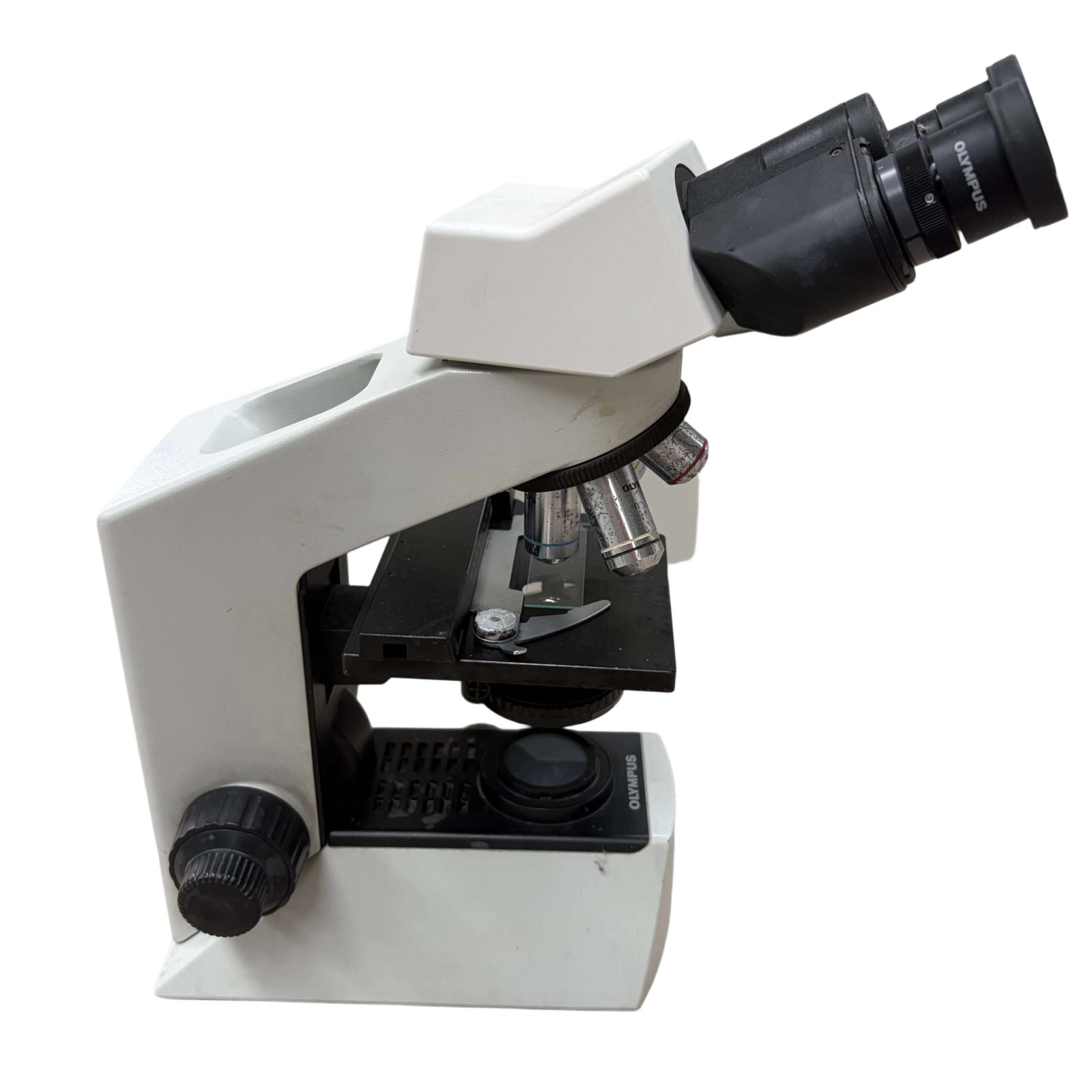 Olympus CX-31-1